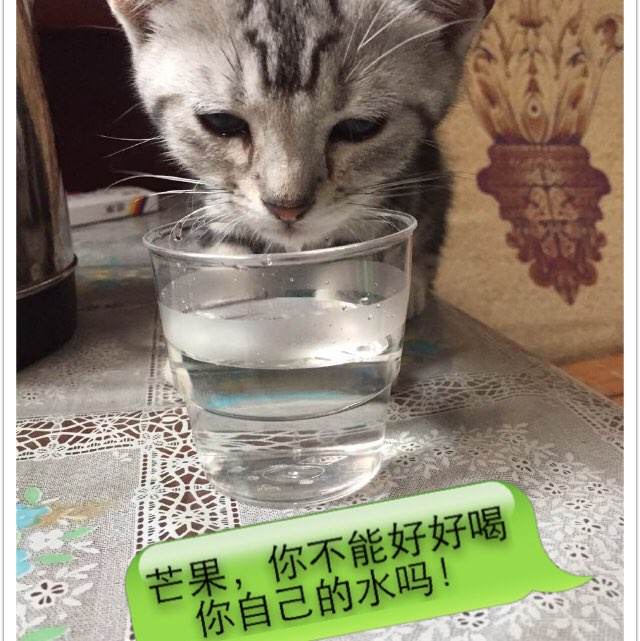 阿斯隆理工学院学位证购买